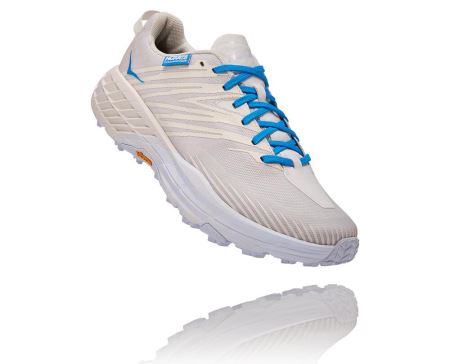 Hoka One One Hoka X Tint Speedgoat 4 Dama - Tenisi Albastri | RO-HPaMHm0